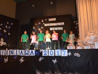 28.06.2017 Festiwal Tańca w Sieniawie